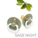 BIBS Dummies | NIGHT GLOW | Size 2