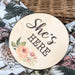 Gender Reveal Baby Milestone Discs