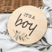 Gender Reveal Baby Milestone Discs