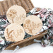 Baby Milestone Plaques - Boho Series (various designs)