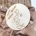 Gender Reveal Baby Milestone Discs