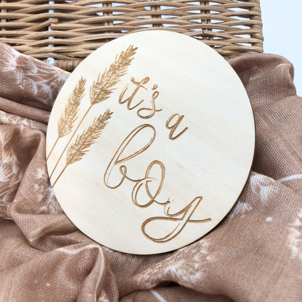 Single Baby Milestone Plaques - Boho series