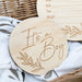 Single Baby and Pregnancy Milestone Plaques - Signature series