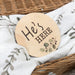 Gender Reveal Baby Milestone Discs