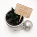 Teacher Plant signs - Personalised -  - ONE.CHEW.THREE Boutique teething, modern accessories