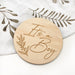 Single Baby and Pregnancy Milestone Plaques - Signature series