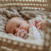 BIBS Dummies | BOHEME | Size 1