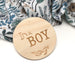 Gender Reveal Baby Milestone Discs
