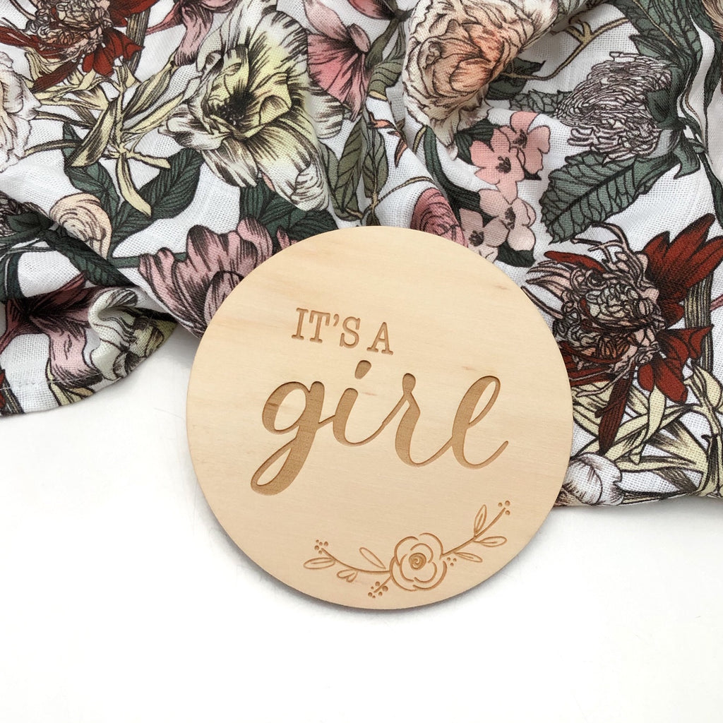 Gender Reveal Baby Milestone Discs