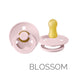 BIBS Dummies | Size 2