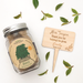 Teacher Plant Signs - Personalised