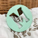 AlphaBET Chews Silicone Letter Teething Disc