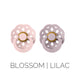 BIBS Dummies | BOHEME | Size 1