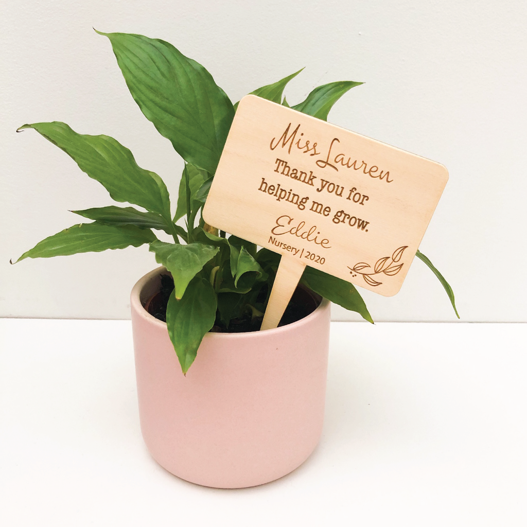 Teacher Plant Signs - Personalised